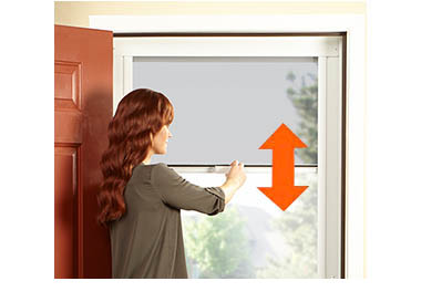 storm door insect screen